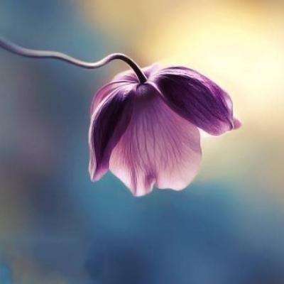 博鱼登录入口截图